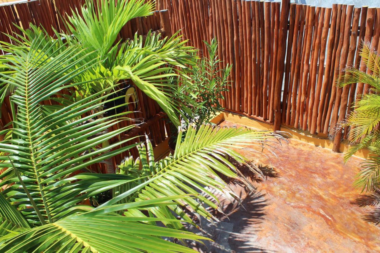 Cande'S Apartments Isla Mujeres Extérieur photo